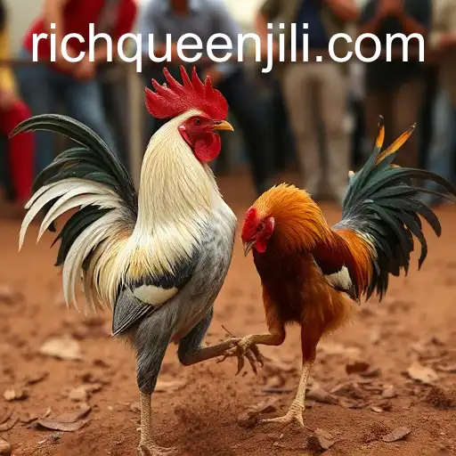 The Controversial World of Cockfighting: An In-Depth Look at RICHQUEEN